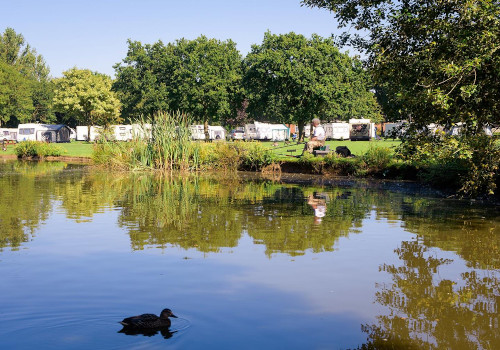 goosewood holiday park york