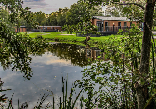greenhill farm holiday park fishing lakes, new forest
