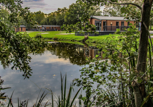 luxury lodges in the new forest