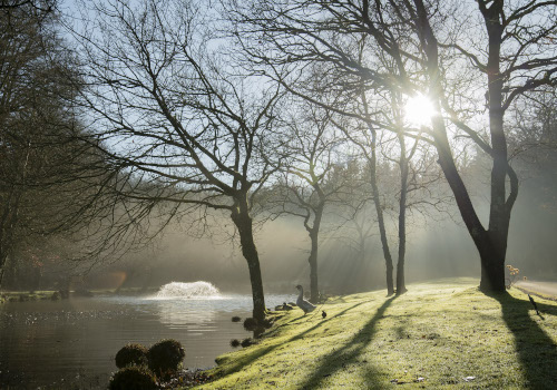 lakeview manor holiday park fishing lakes devon