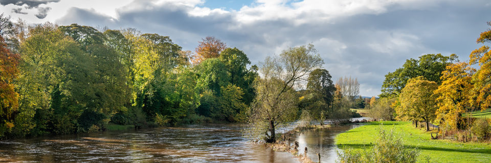 flooded river teviot in the scottish boders