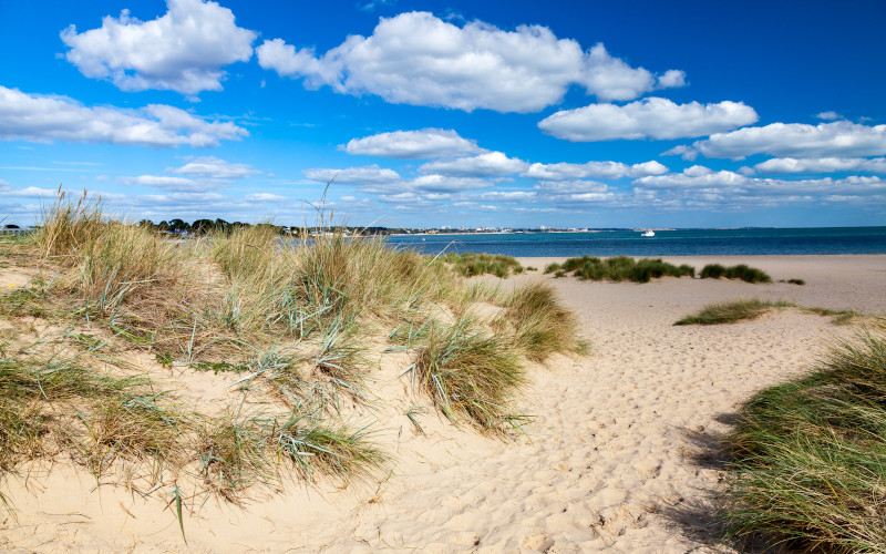 shell bay beach in dorset