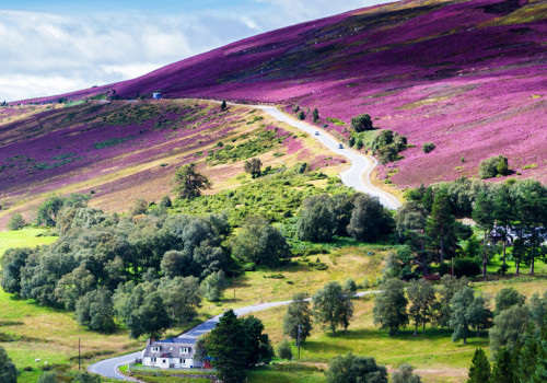 farmhouse cairngorms