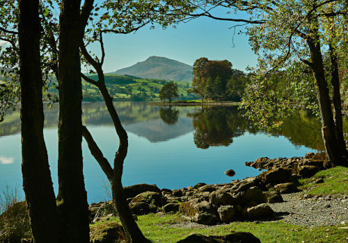 snowdonia lodge parks