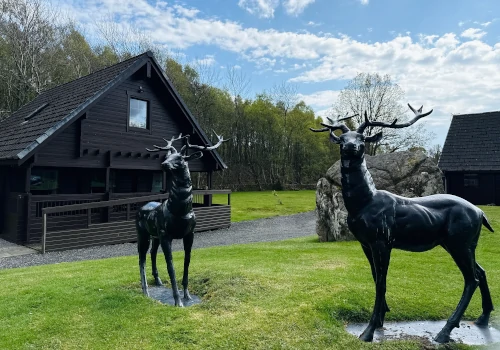 dalbeattie forest lodge and caravan park in dumfries and galloway