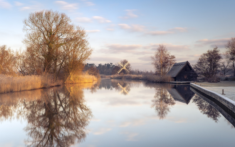 the broads norfolk