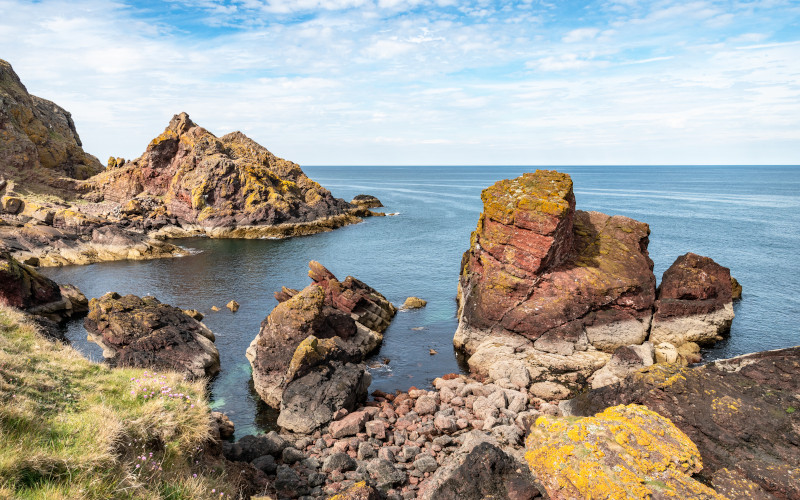 st abbs head the scottish borders