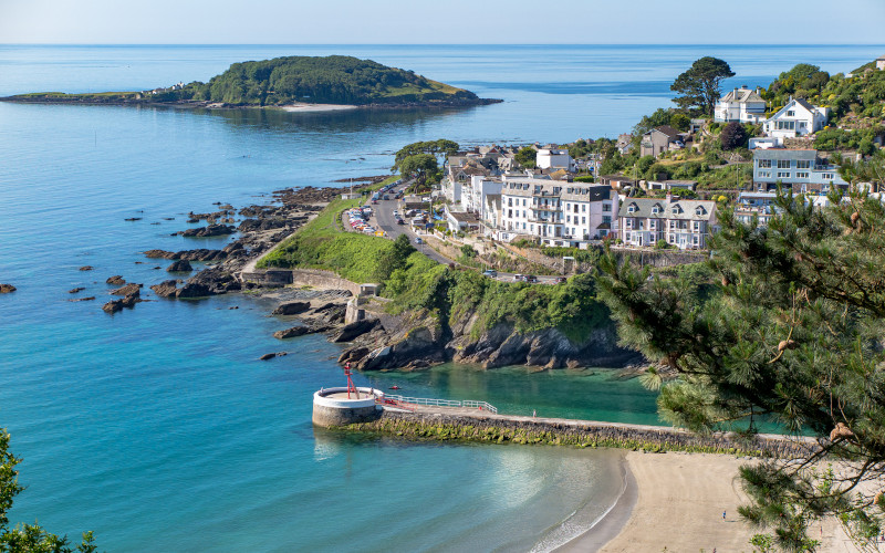 Looe island looe island cornwall