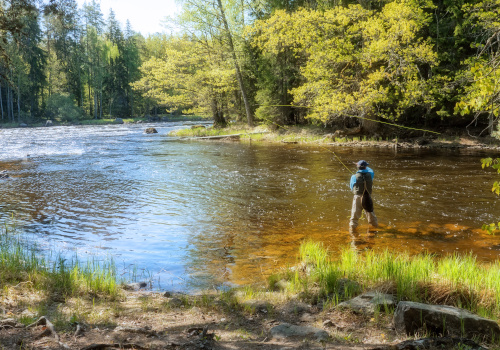 fishing at riverview holiday park in the scottish borders