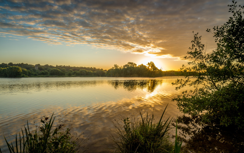 sunrise on the norfolk broads