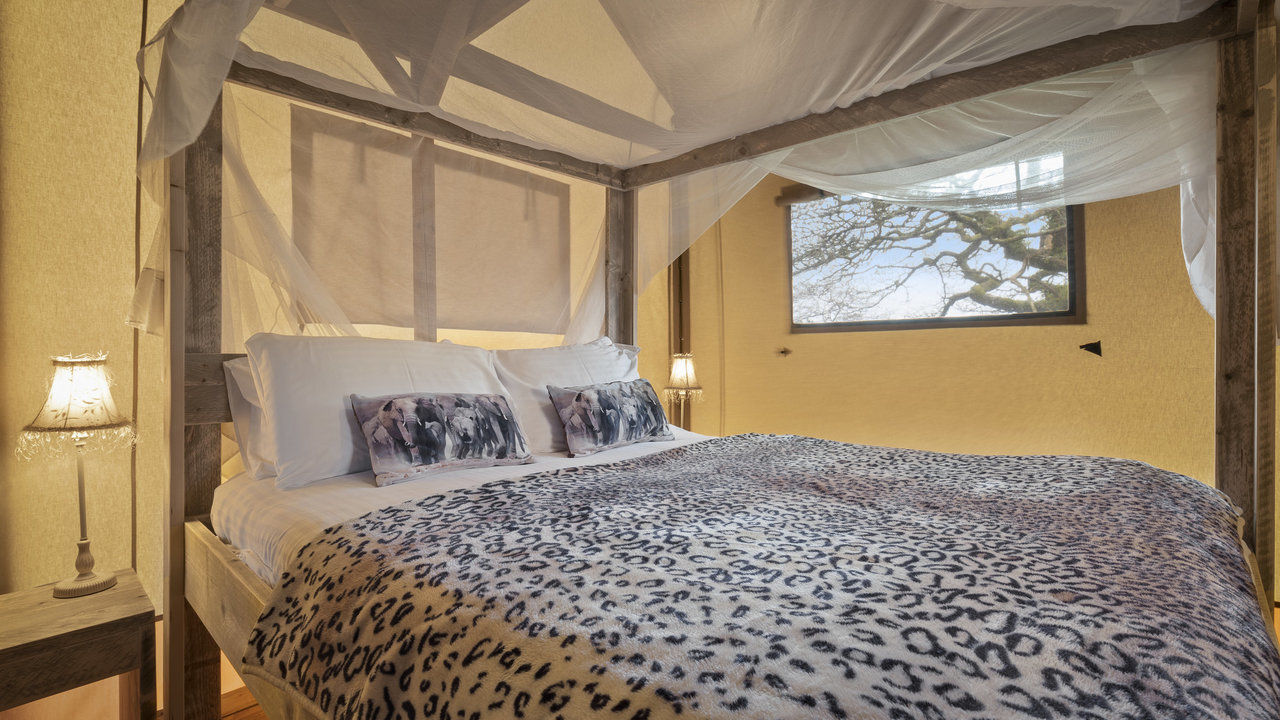 Photo of Foxglove Safari Tent