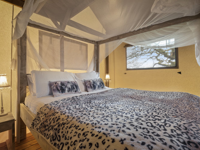 Photo of Foxglove Safari Tent