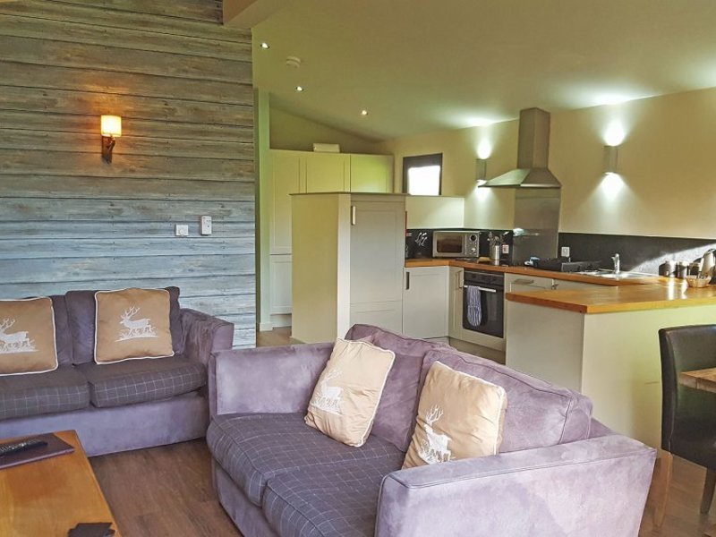 Woodland Rustic Lodge Lodge in Sherwood Forest