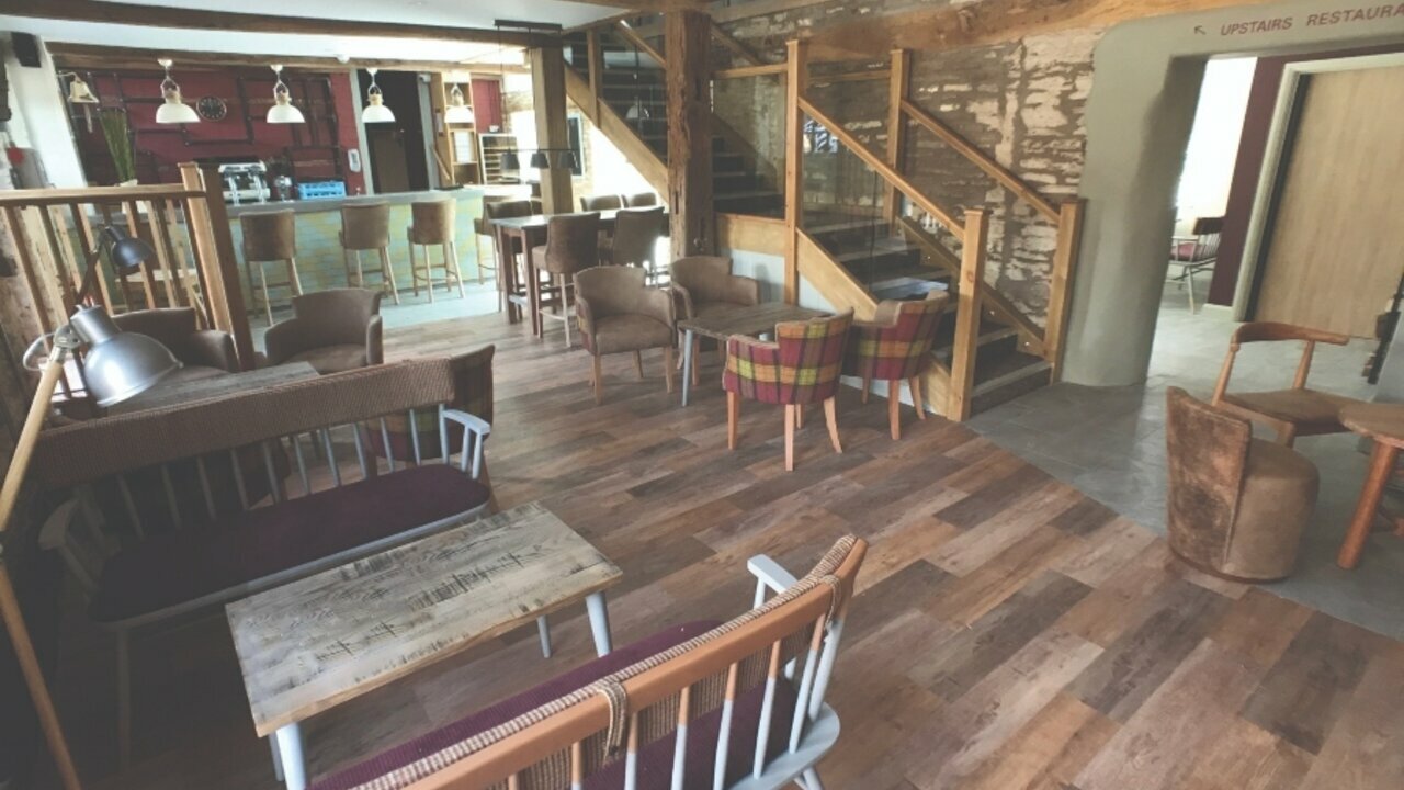 Photo of Gold Plus - Pet Friendly