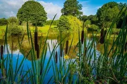 Worcester accommodation holiday homes for sale in Worcester