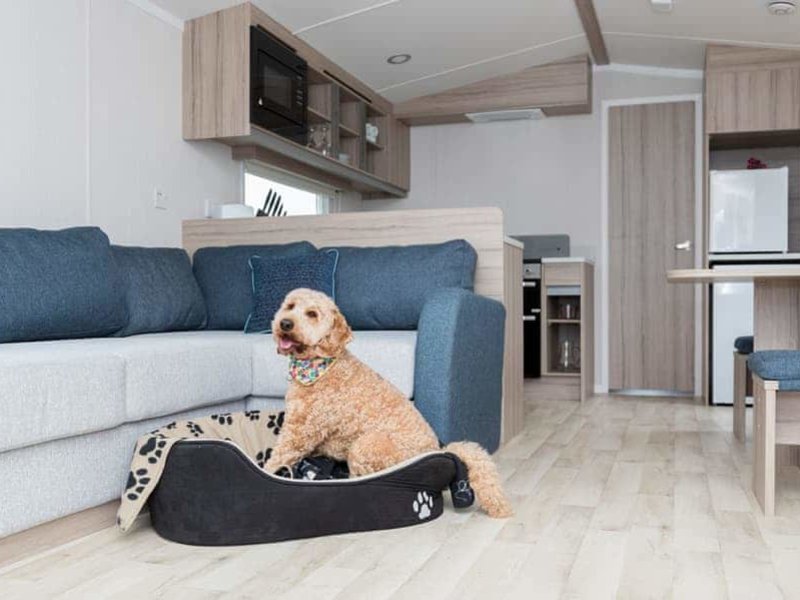 Ramsey 2 Pet Ramsey 2 Pet Caravan in Narberth