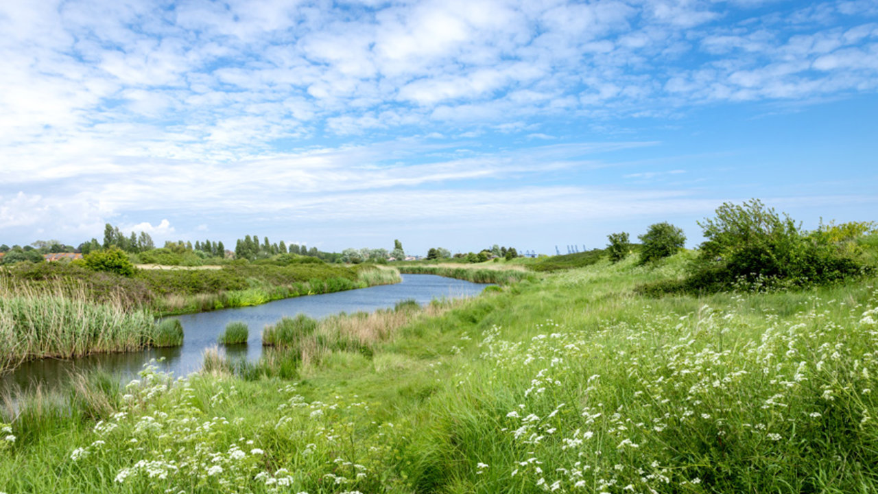 Photo of 2021 Willerby Cranbrook