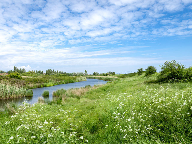 Photo of 2021 Willerby Cranbrook