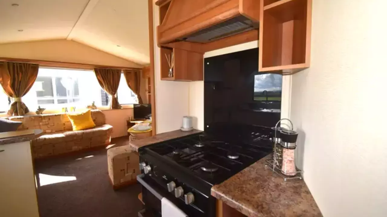 Photo of 2011 Willerby Rio Gold