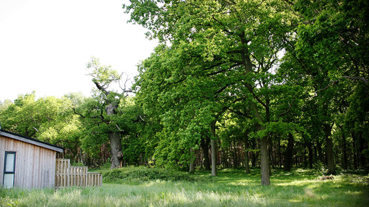 Photo of Traditional Lodge