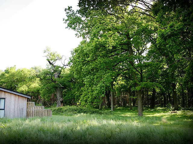 Photo of Rustic Lodge