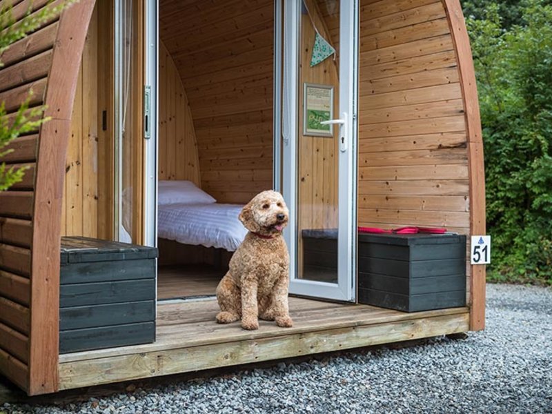 Hideaway Log Pod Pet Glamping in Narberth