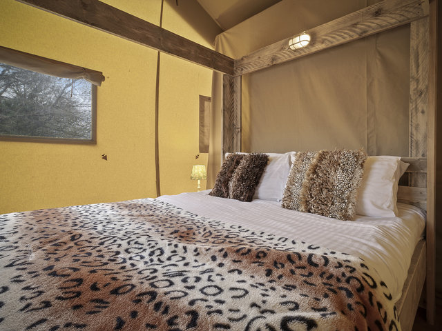 Photo of Orchid Safari Tent