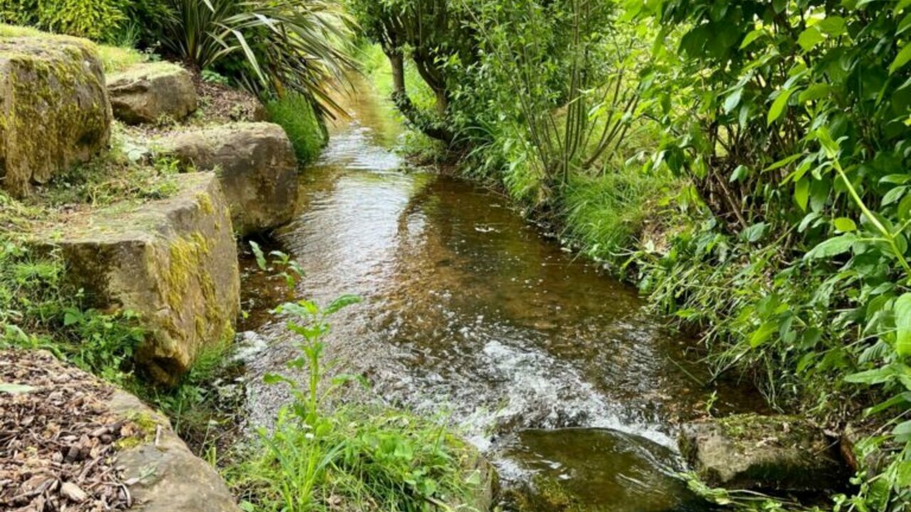 Photo of The Willows